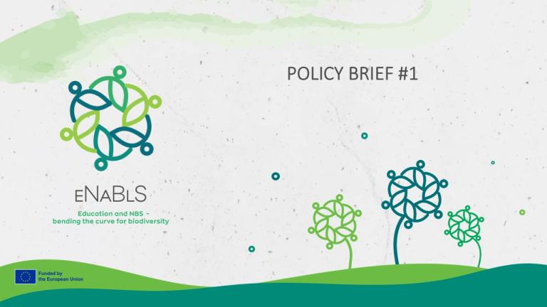 eNaBlS_Project_Policy_Brief