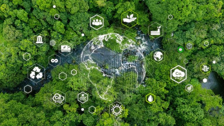 NetworkNature Task Force 1 AI usage guidance