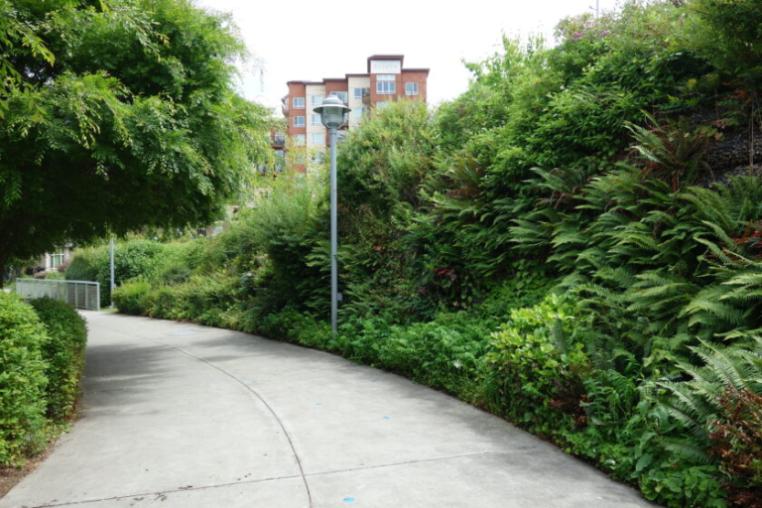 Urban green