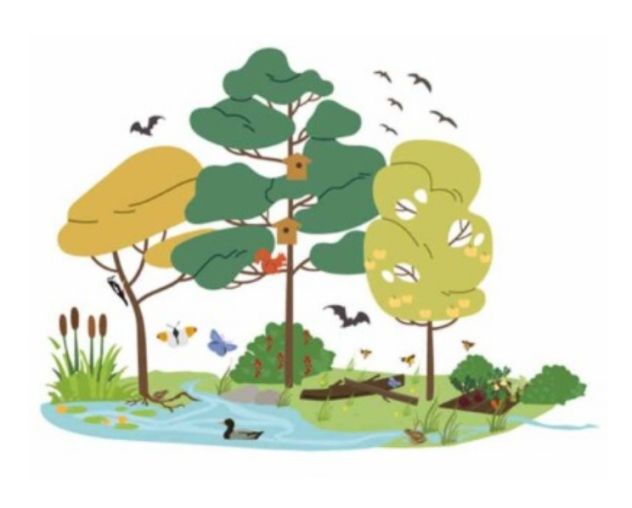 Project illustration for Nordlocal, showing Nordic landscape