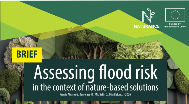 This brief presents efforts carried out through the Netherlands Flood Lab to improve flood risk modeling by incorporating Nature-based Solutions, allowing for more accurate risk pricing. It also aims to support the development of well-informed flood adaptation strategies.