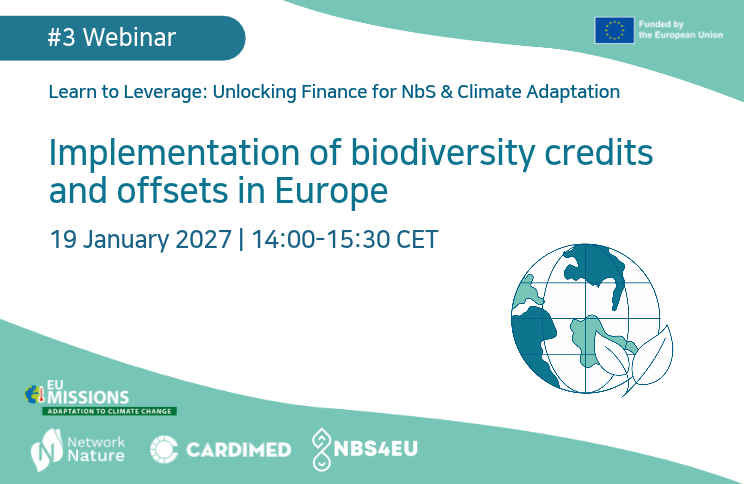 #3Webinar