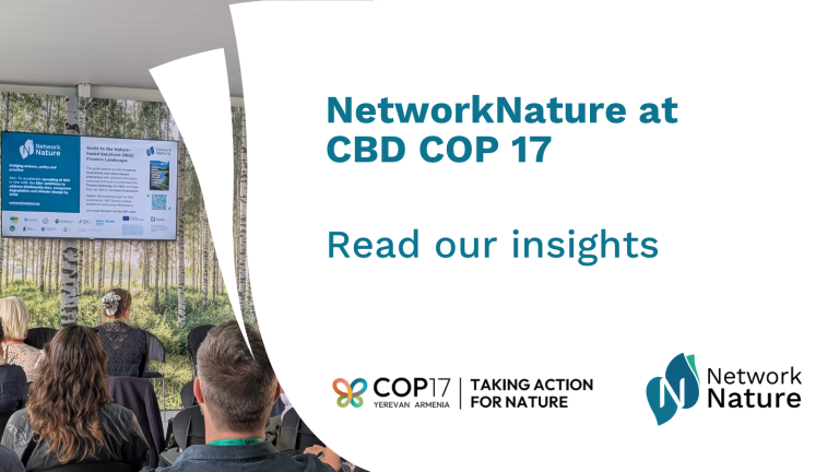 NN at COP17