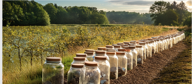 This briefing presents EU and national policymakers working on the Nature Restoration Regulation implementation