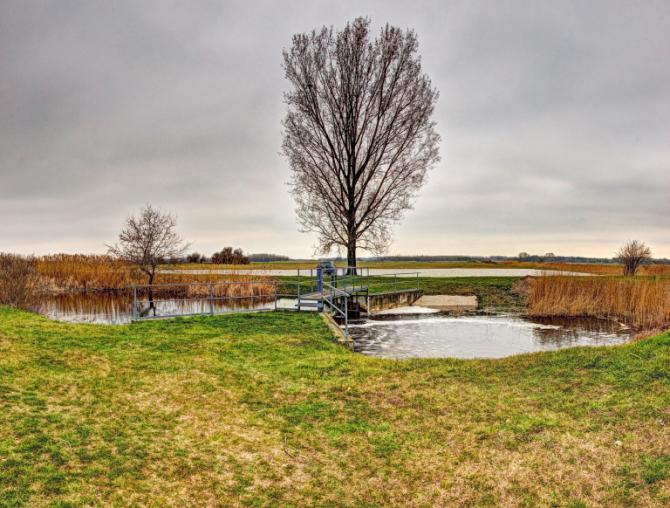 A water retention pond in a field with a small bridge over it and a tree in the background.