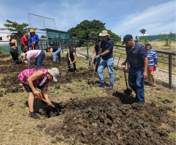 Twelve people digging holes with spades in Costa Rica.