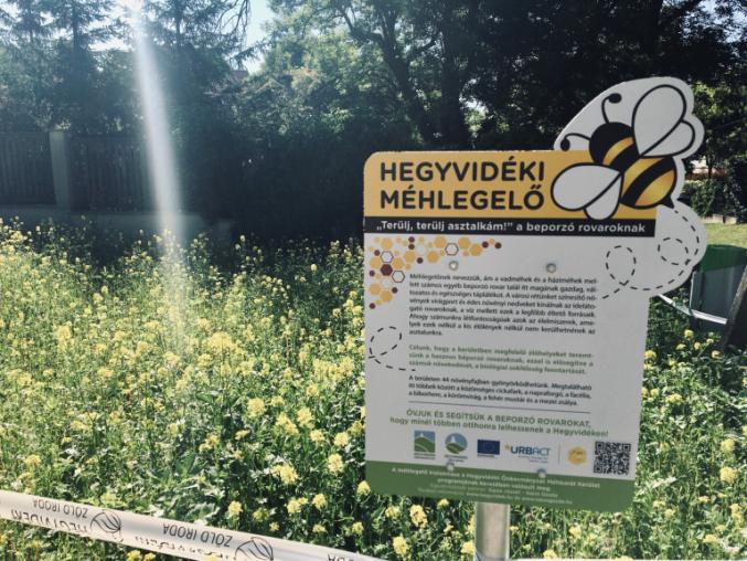 A sign with a large picture of a bee on it in front of yellow flowering plants.