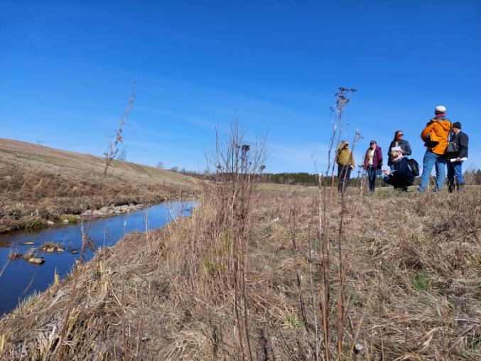 A group of people on the bank of a small river.