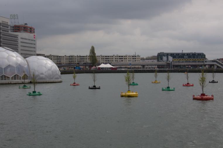 Trees floating on colourful planters in the tidal park in Rotterdam.