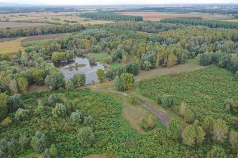 Elevated image of a flat, well wooded landscape with areas of wetland.
